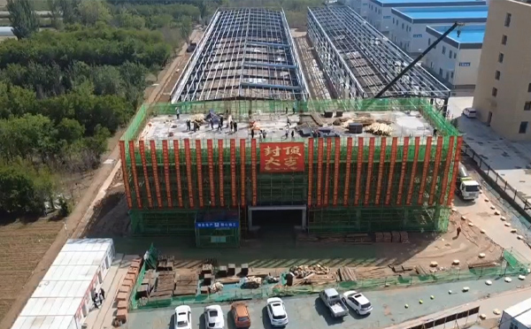 工期缩短20%：秦安秦安钢结构安装高空焊接工艺要点